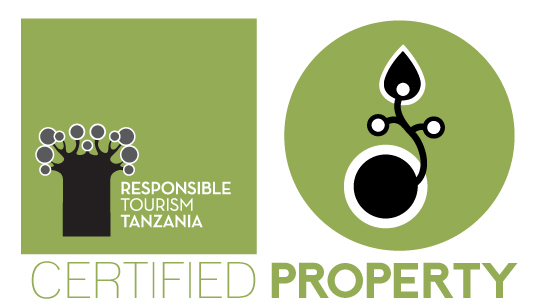 rttz ICON seed certificate 2