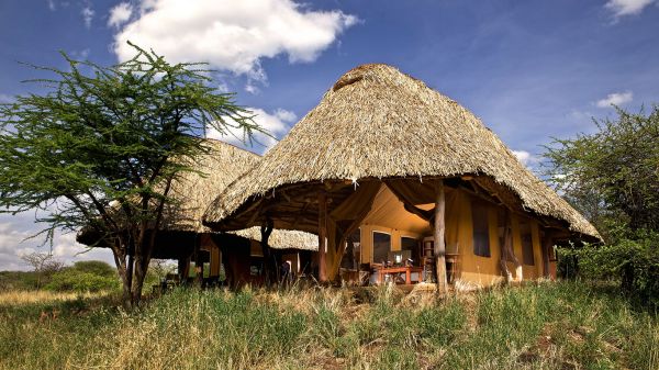 lewa-safari-camp-family-tent-exteriorF785F044-B3E3-9BF8-FA5E-32DD5C1CE52B.jpg