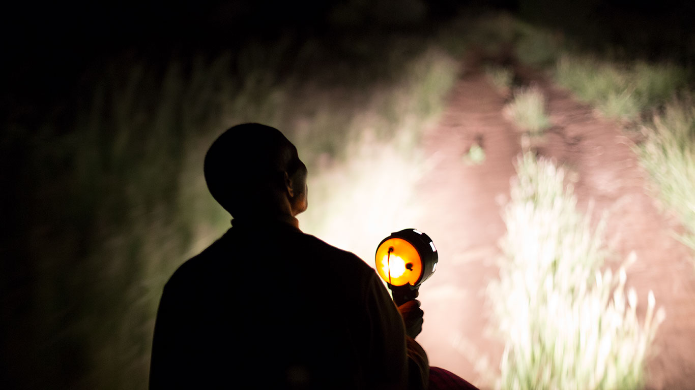 Night Game Drive