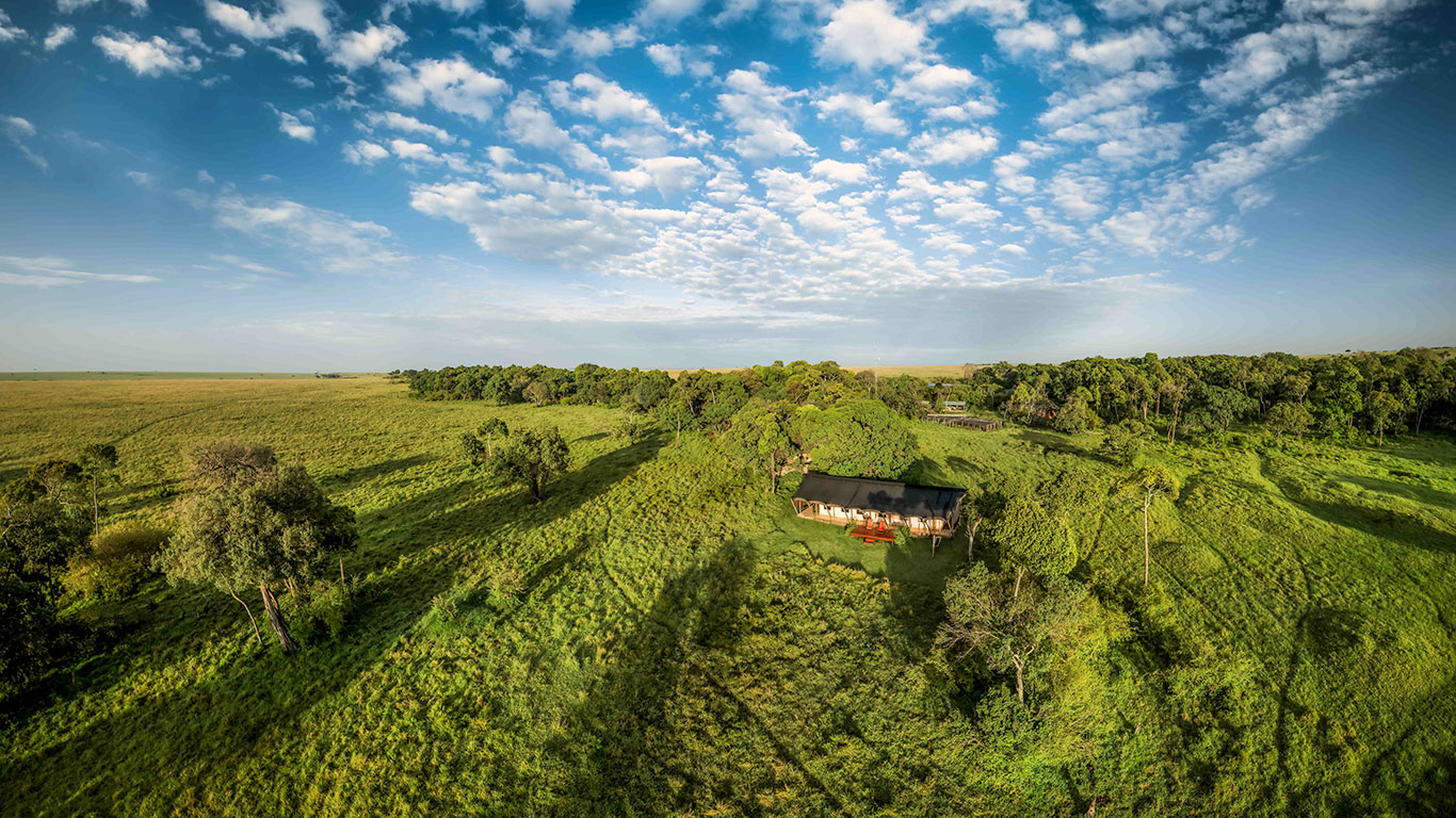 Elephant Pepper TentPanorama