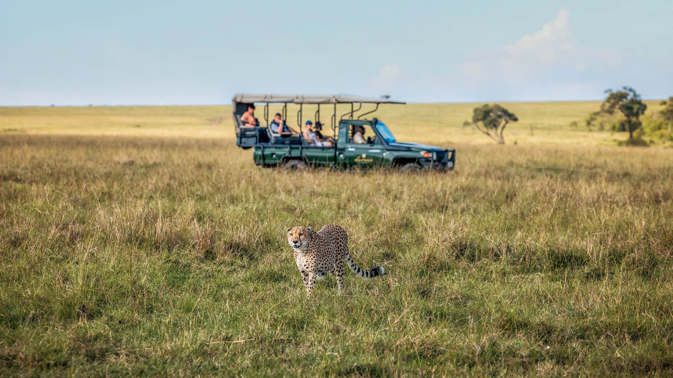 masai mara gamedrive