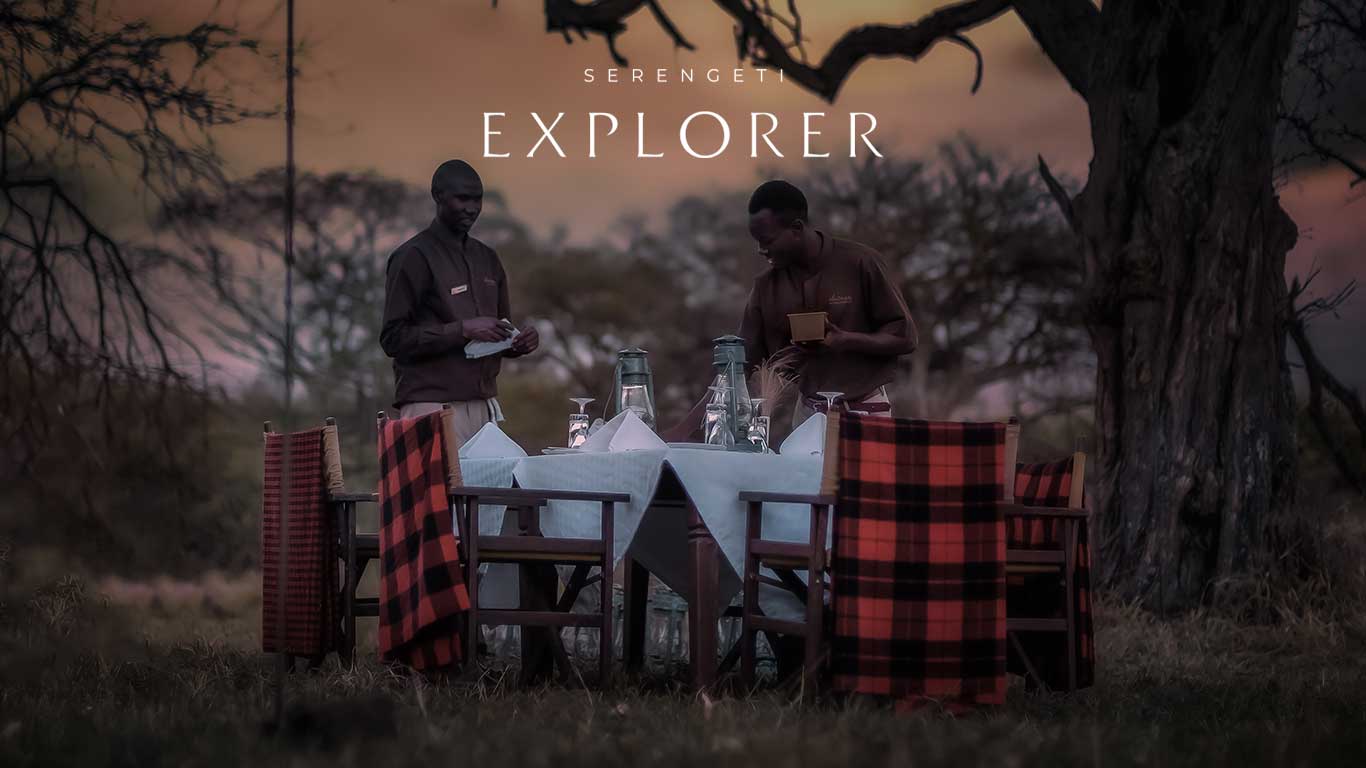 Setting Up Bush Dinner