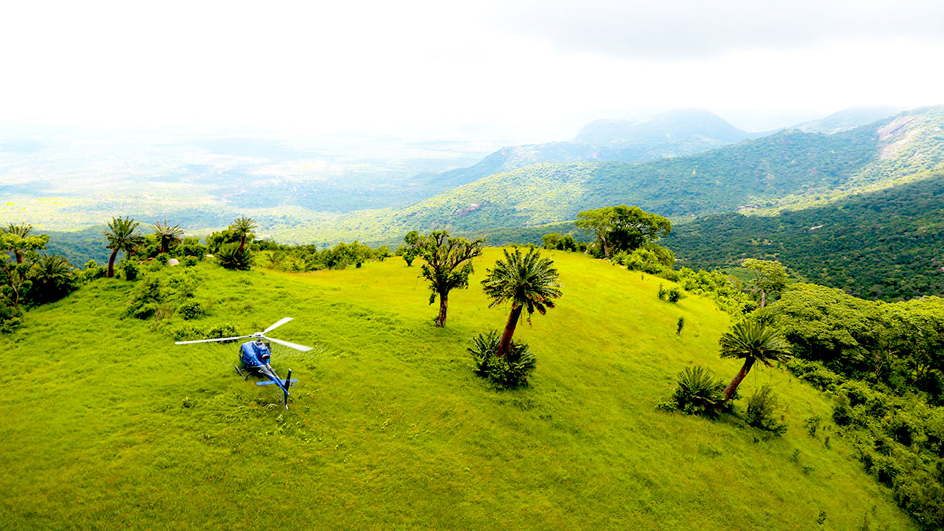 Helicopter Tours