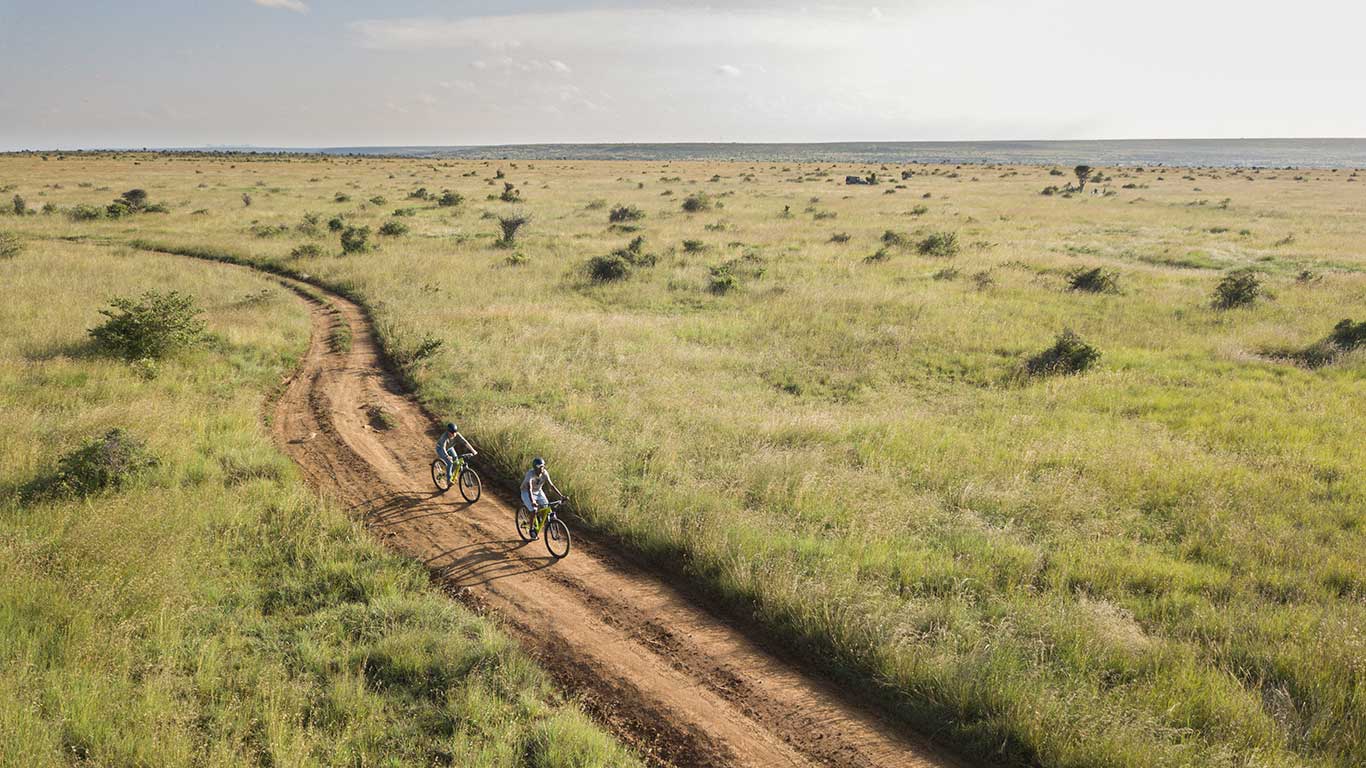 Elephant Pepper Camp wildlife viewing from the camp