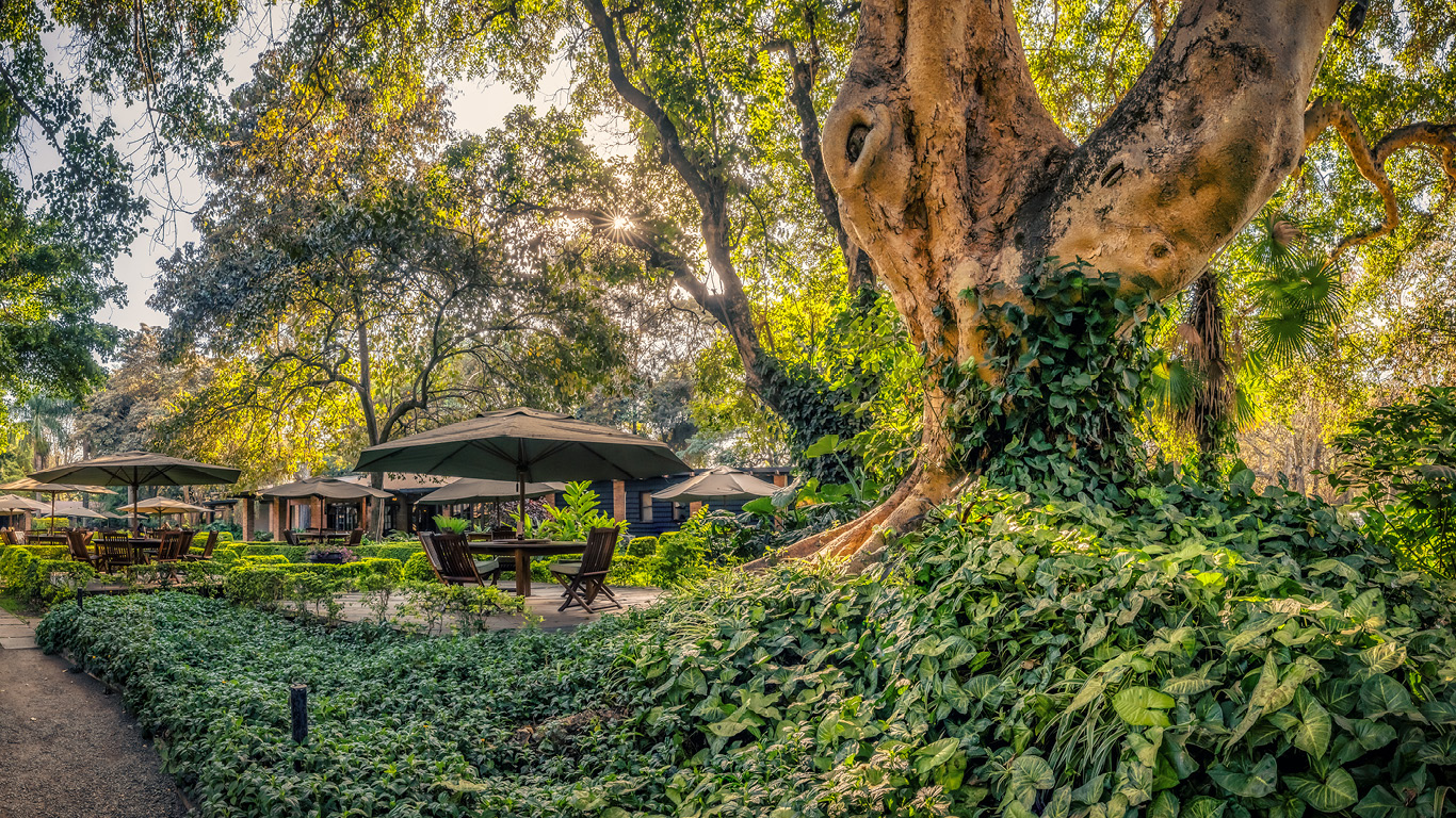 Arusha Coffee Lodge Gardens