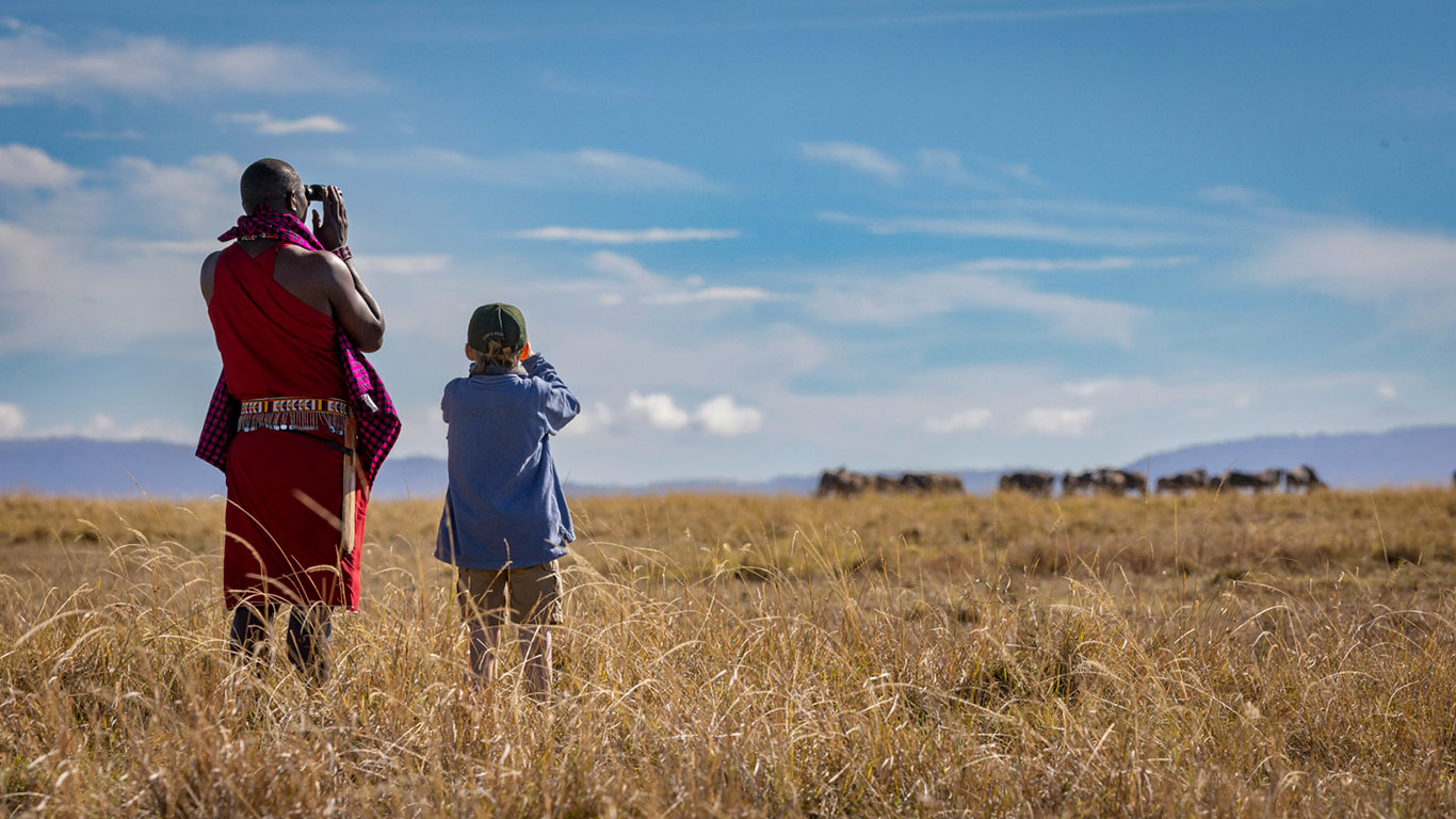 EPC 2022 Silverless 065