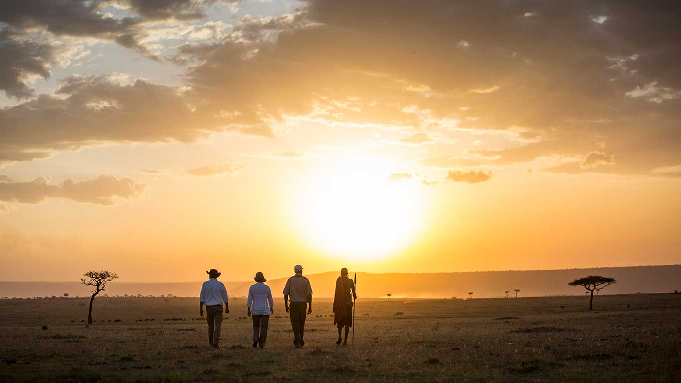 Elephant Pepper Camp activities bush walk