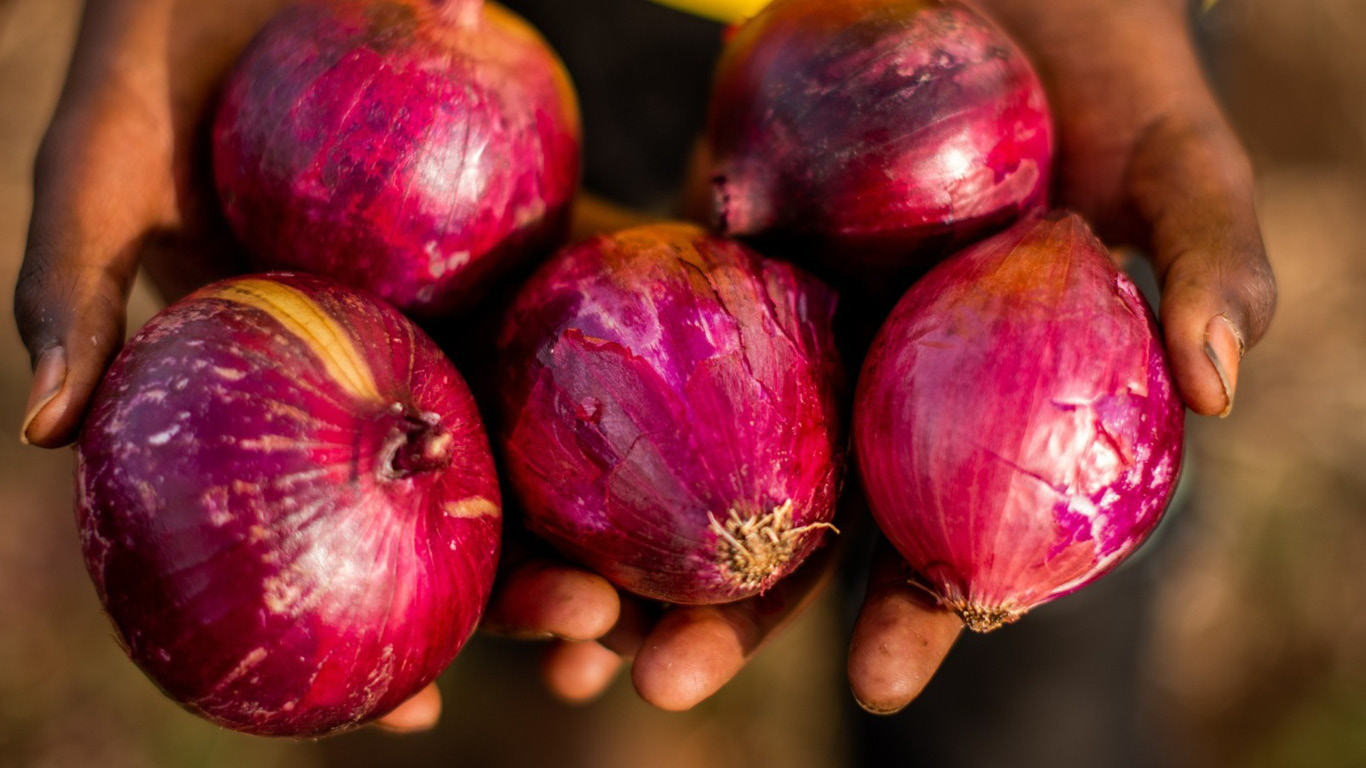 Lewa Onions