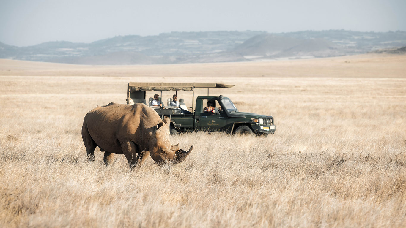 Lewa WhiteRhino and Vehicle