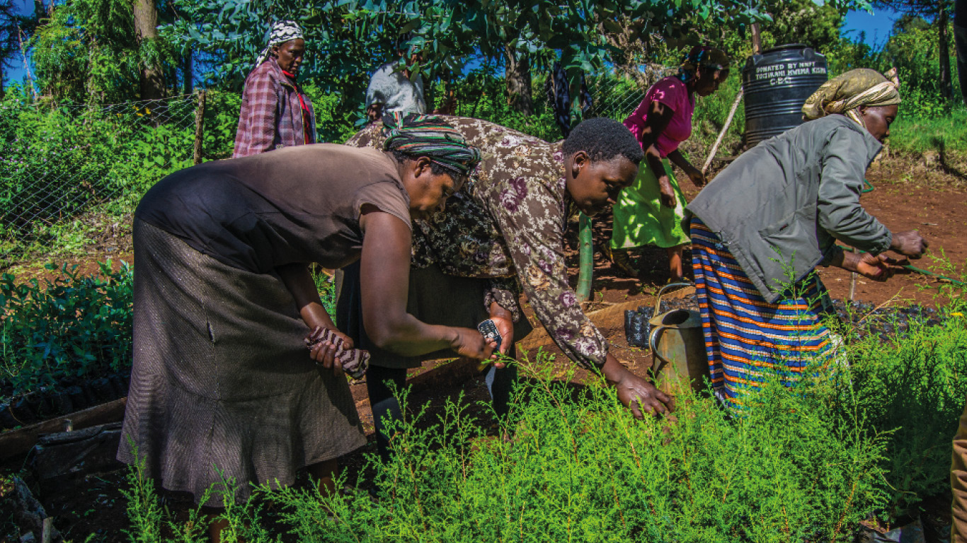 Lewas Women Microenterprise Programme