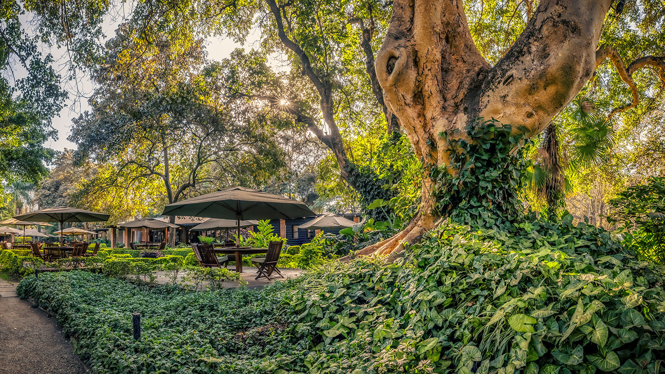 OutsideTableSunnyAfternoon acl