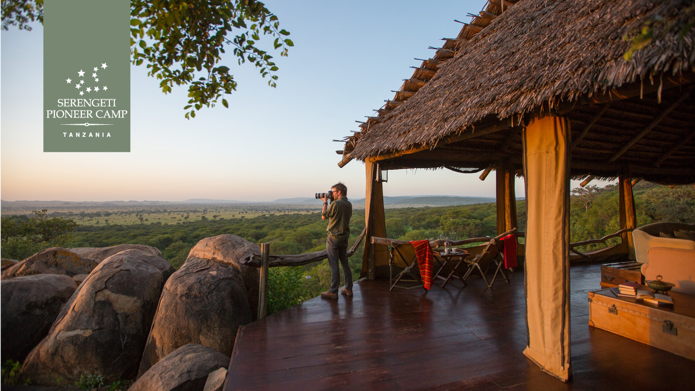 Renovations and Upgrades spc