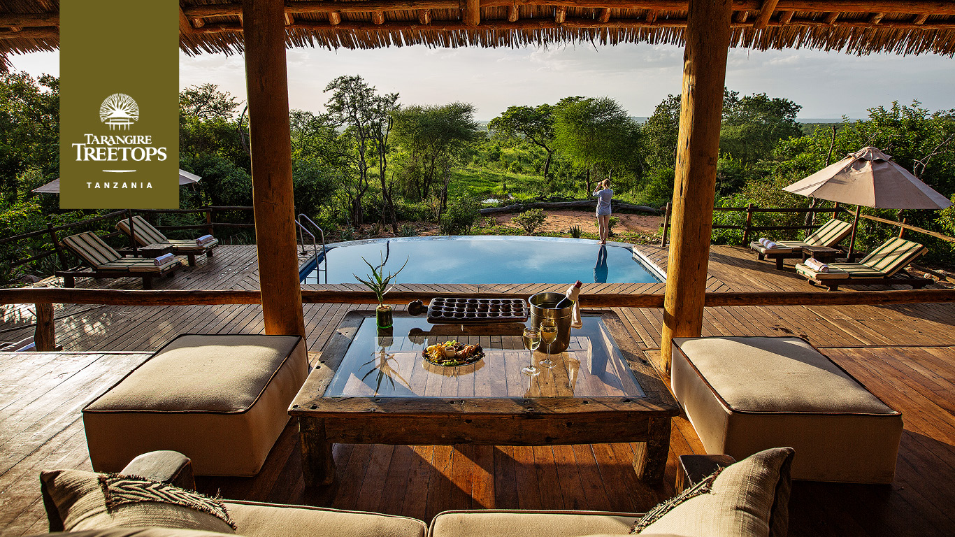 Renovations and Upgrades ttt