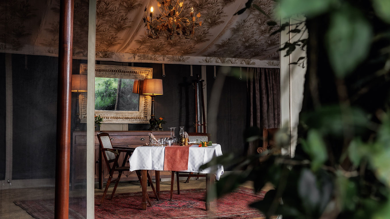 RomanticDinnerLookingIntoTheTent