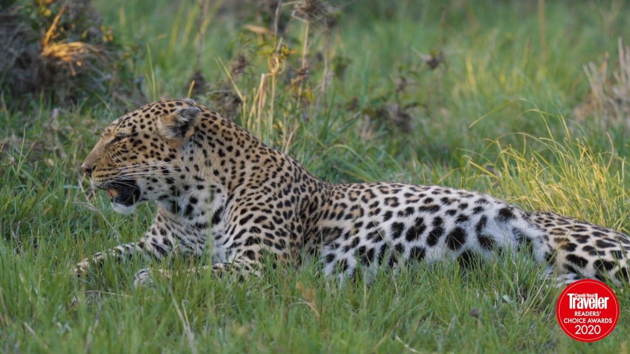 Sand River Mara Video 2021