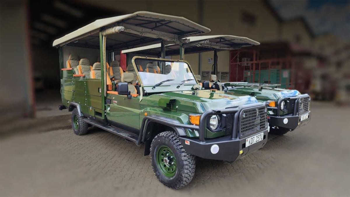 SafariVehicleWithZebras