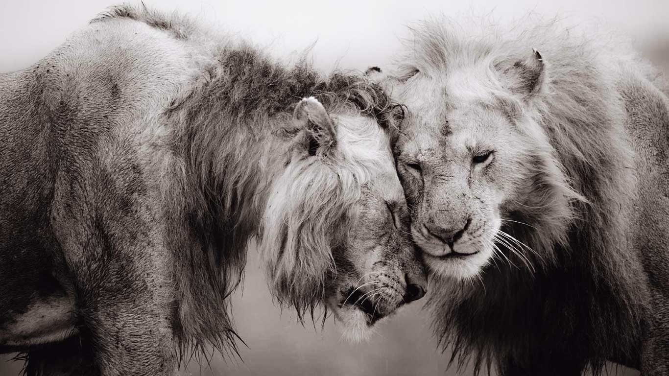 personal work umoja 16