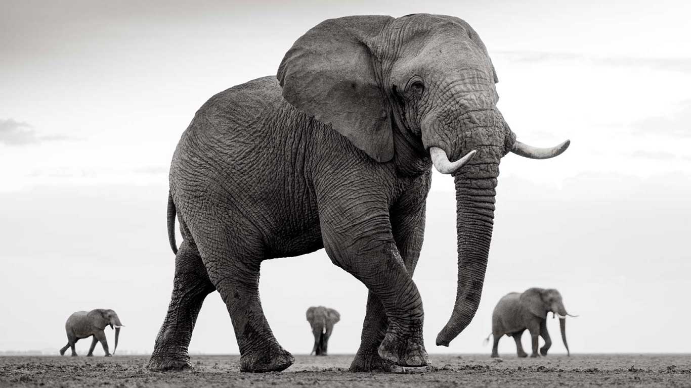 personal work umoja 16