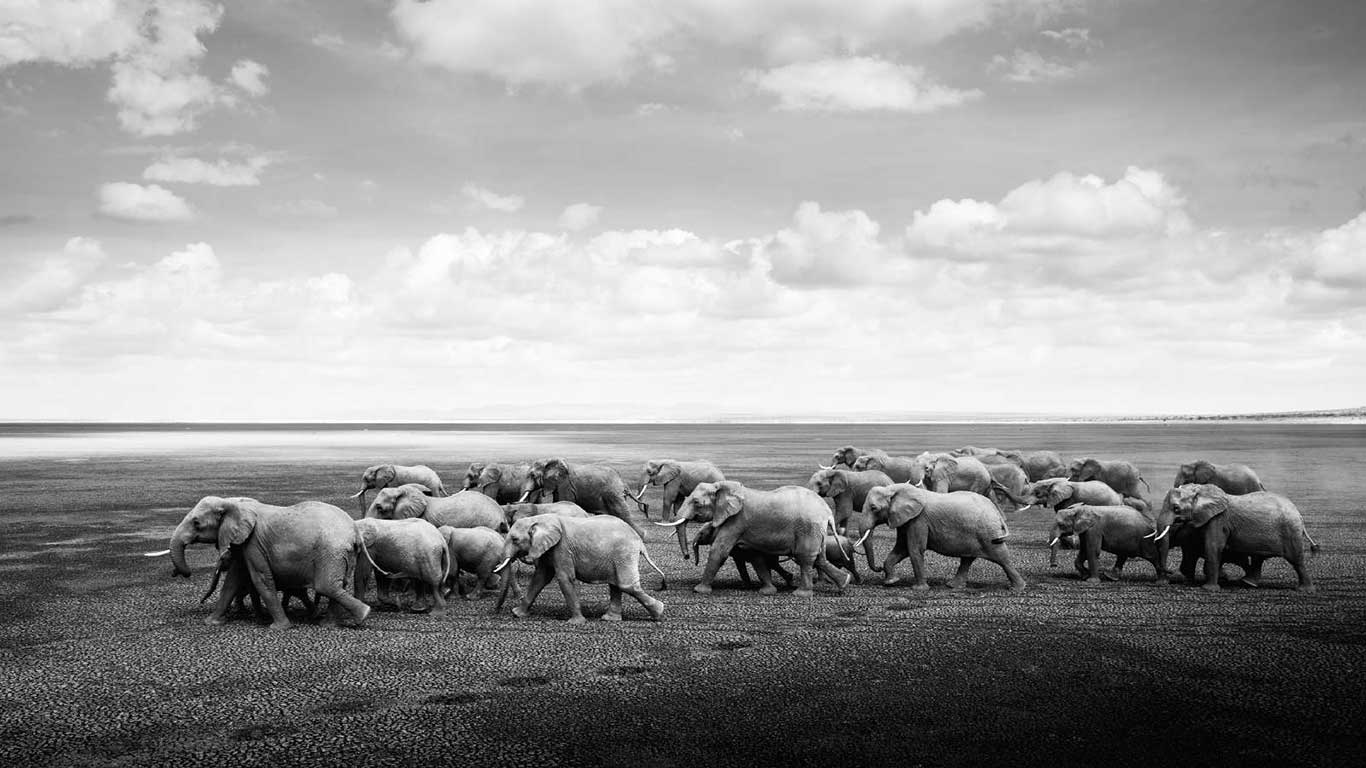 personal work umoja 17