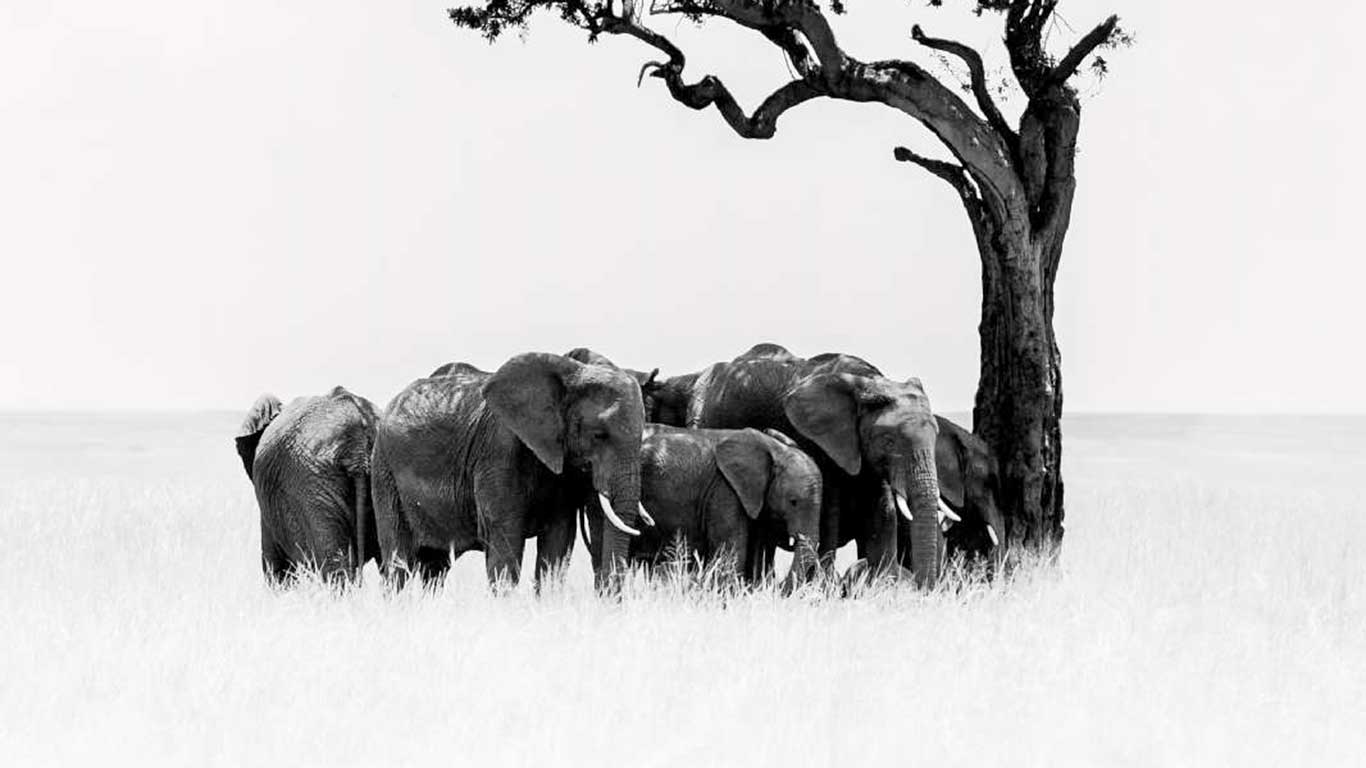 personal work umoja 17