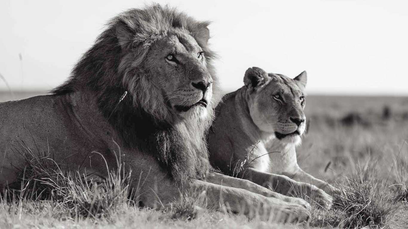 personal work umoja 17