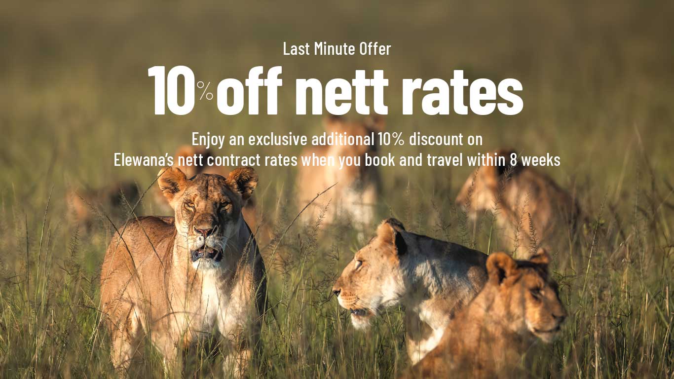 Last Minute Exclusive Offer: 10% Off Nett Rates