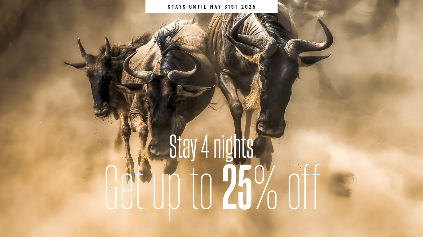 4 for 3 offer 2024-2025