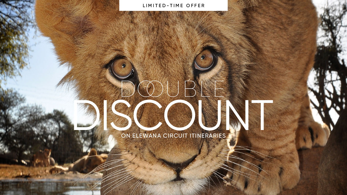 Double Discount 2024 Banner