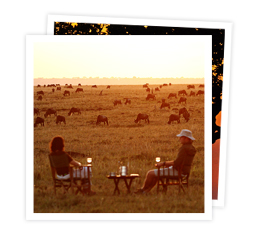 elephant pepper camp