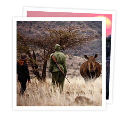 snap lewa safari camp