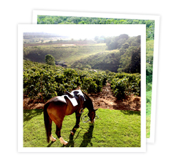 snap the manor at ngorongoro