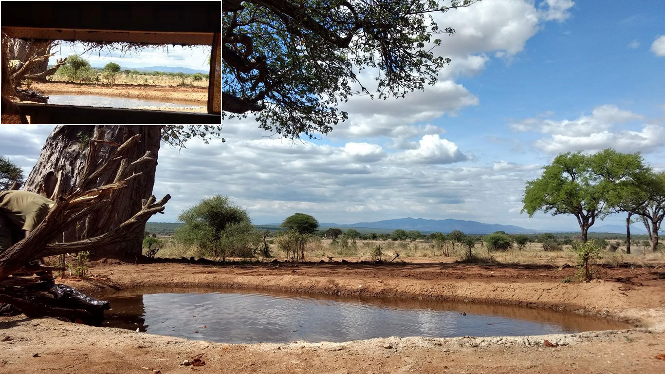 TTT wildlife Hide opens
