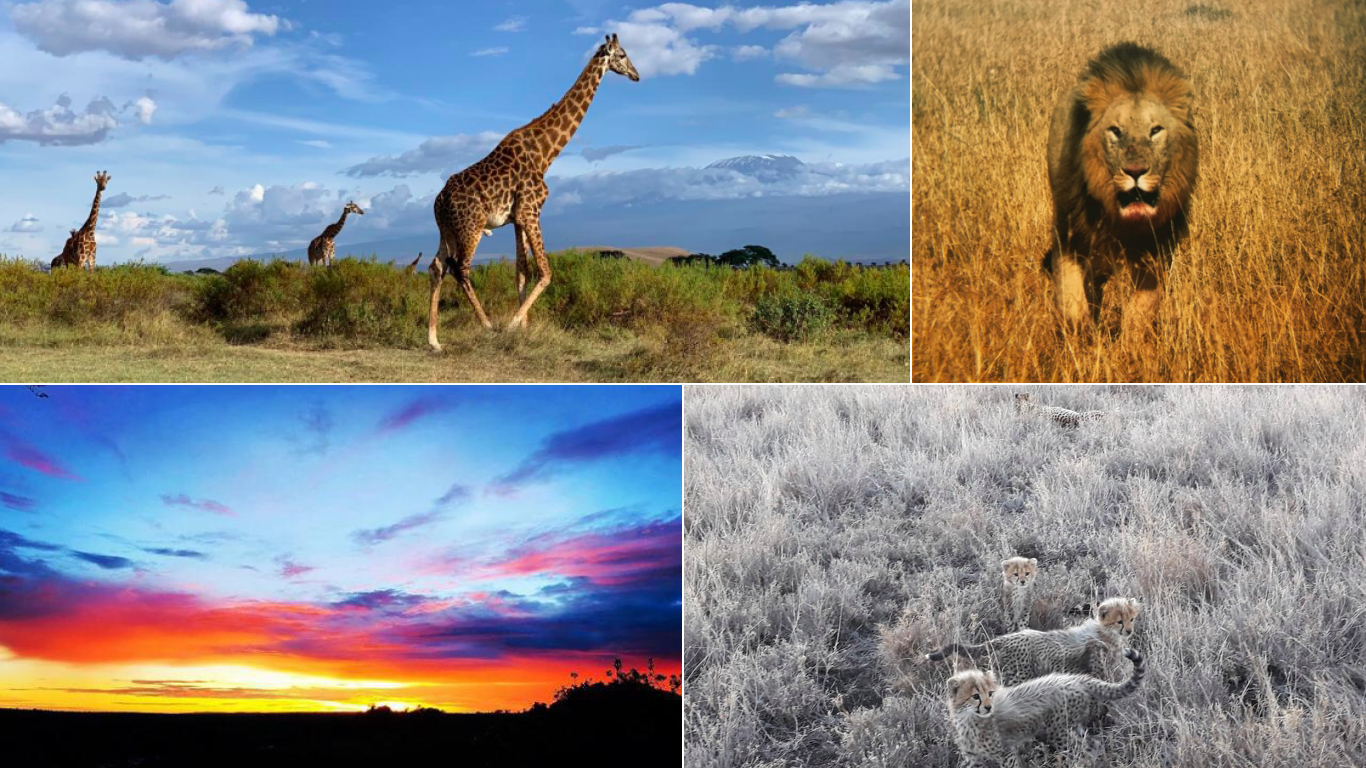 photos of the month