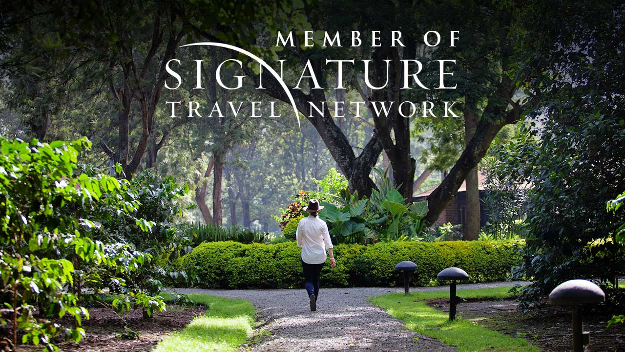 signature-travel-network