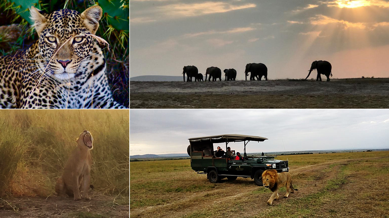 photos of the month august