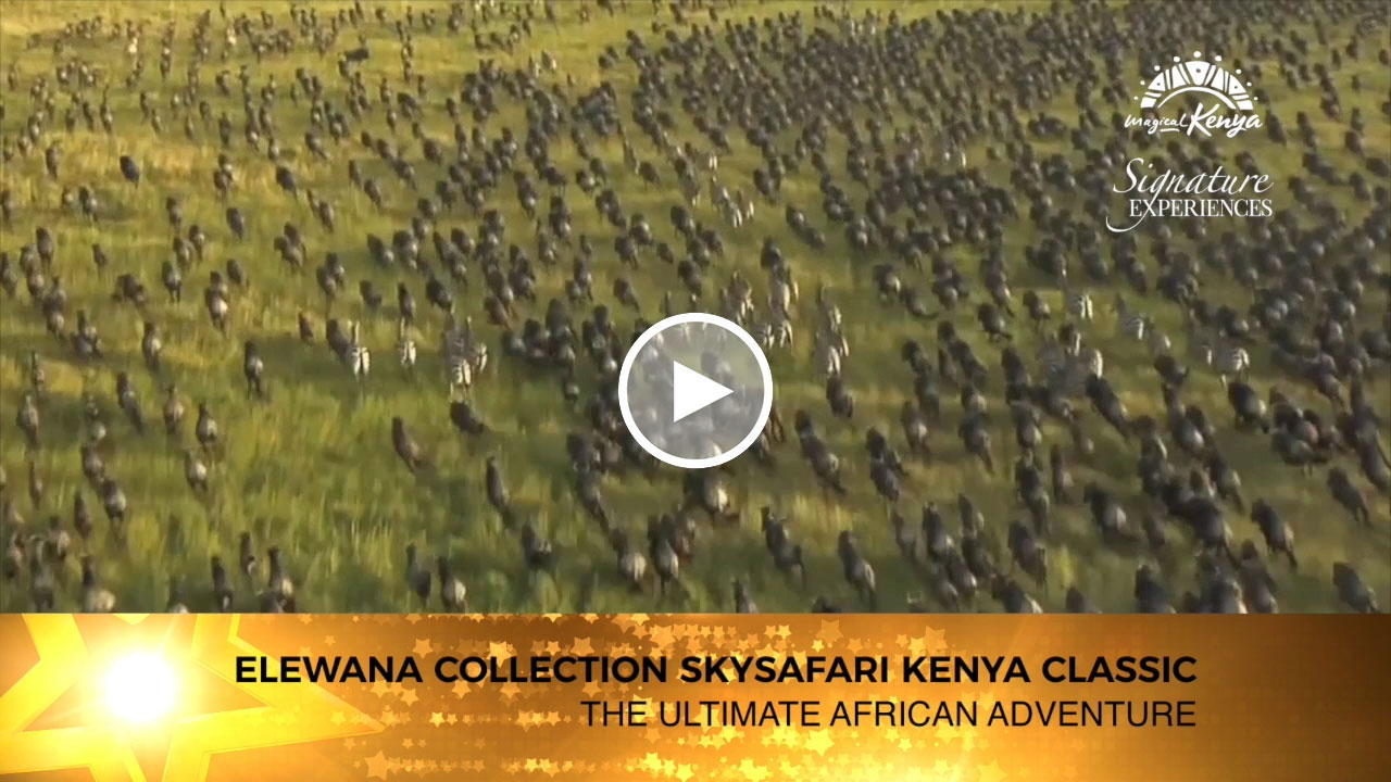 Preview SIgnature SkySafari