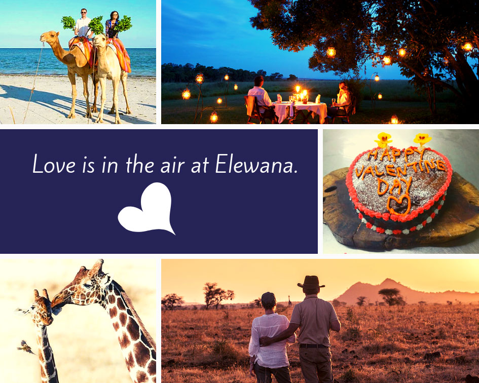 Photos of the Month Valentines day Collage 2019 