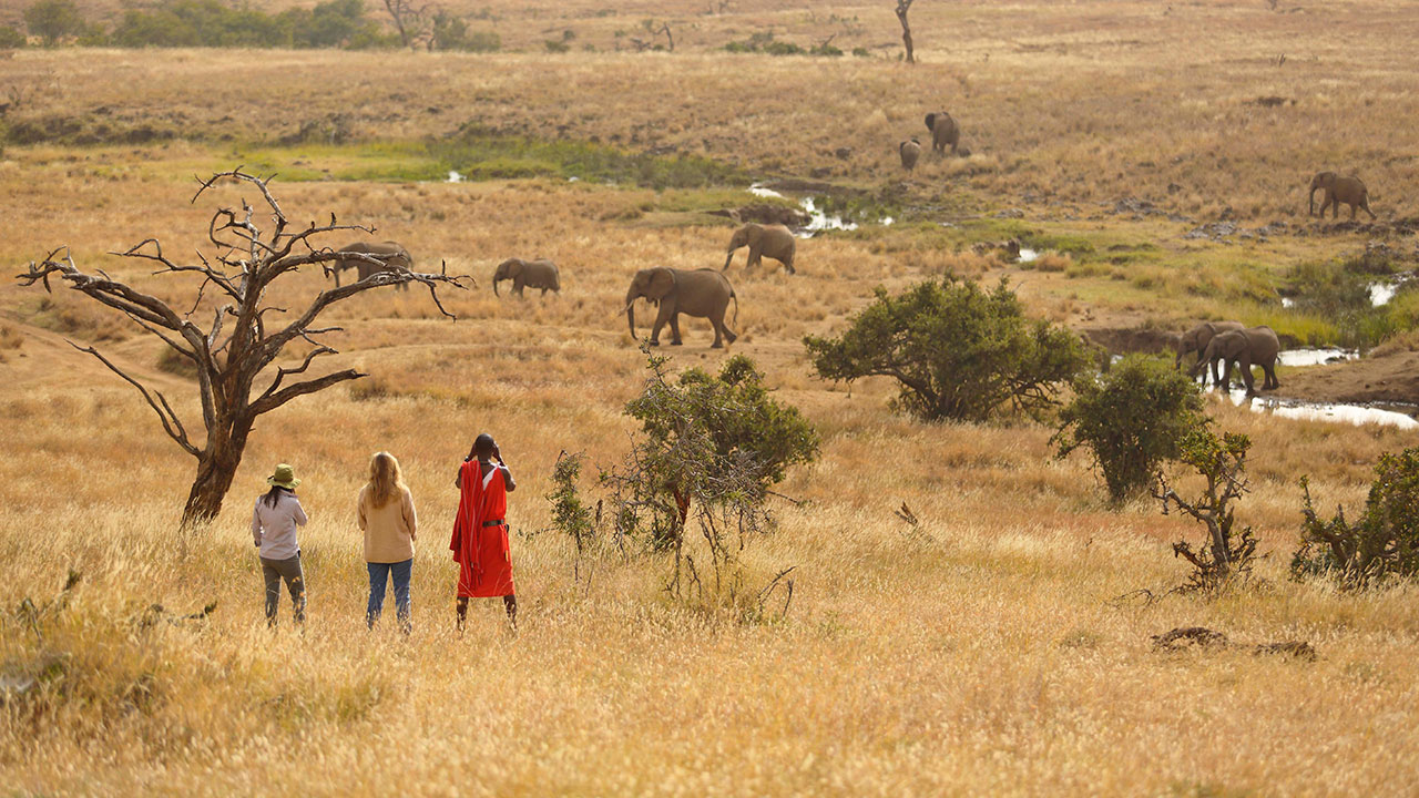 Elewana-Kifaru-bush-walk