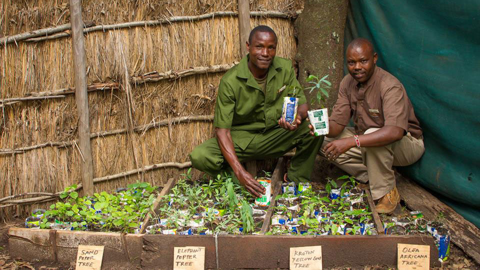 Tree-planting-EPC