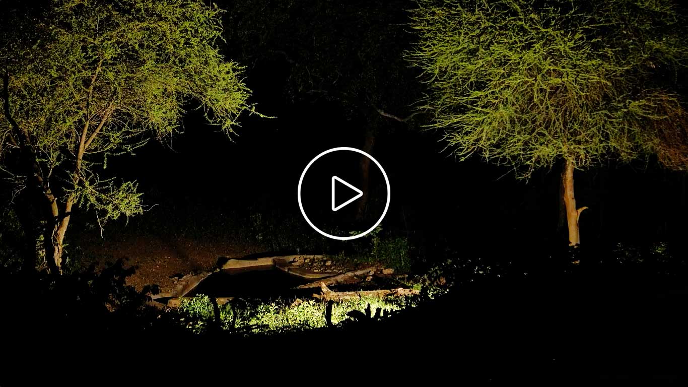 december 2018 livecam