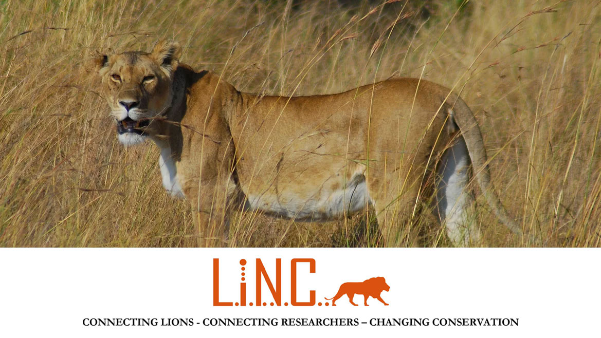 linc