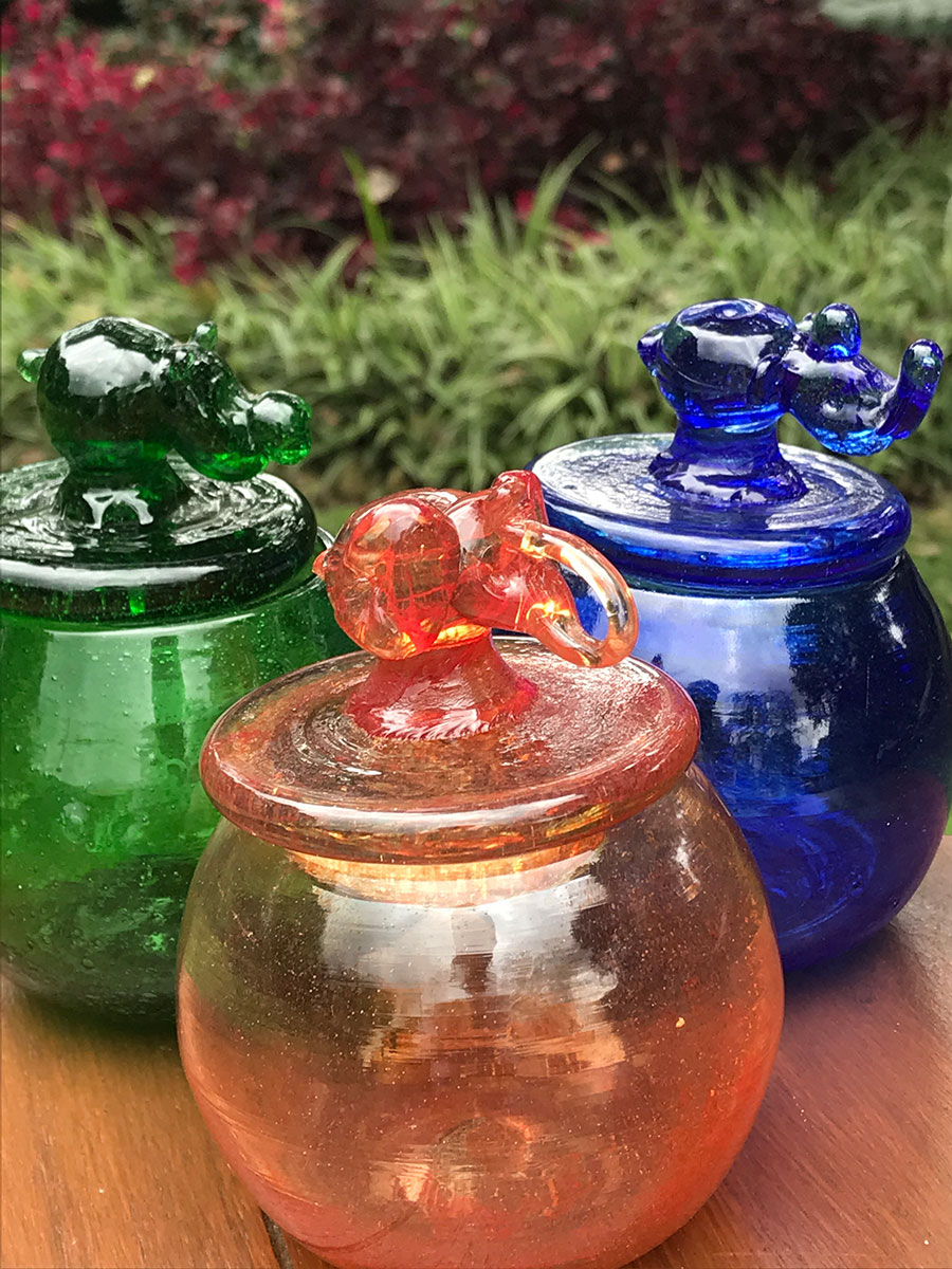 Rare Black Leopard Mother and Cubs Spotted in Kenya