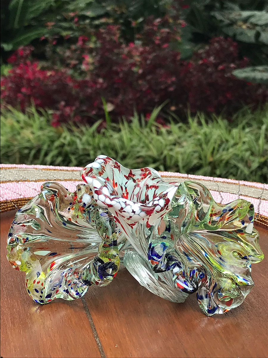 Rare Black Leopard Mother and Cubs Spotted in Kenya