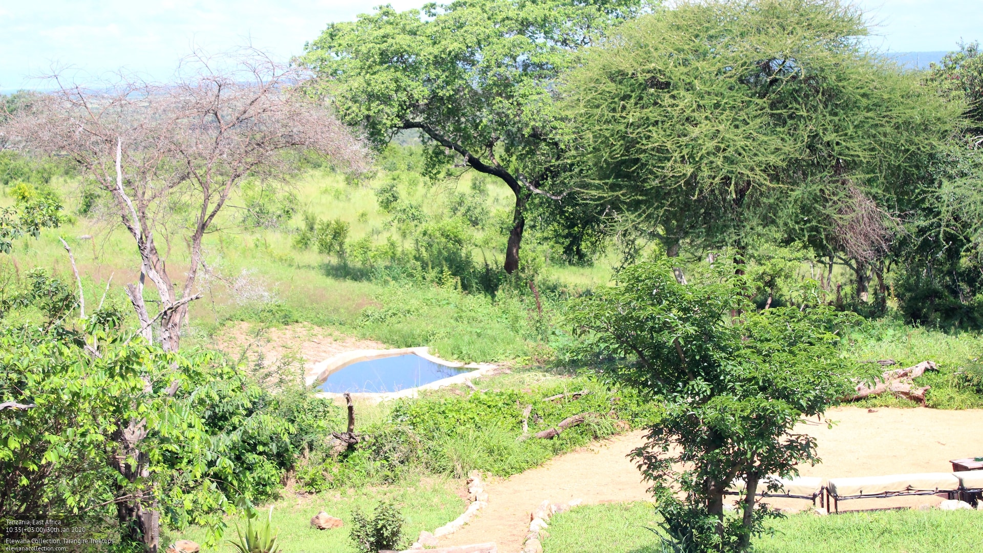 tarangire treetops livecam jan 2020