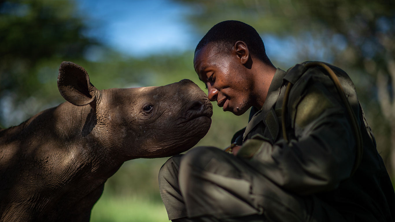 wildlife photographer of the year
