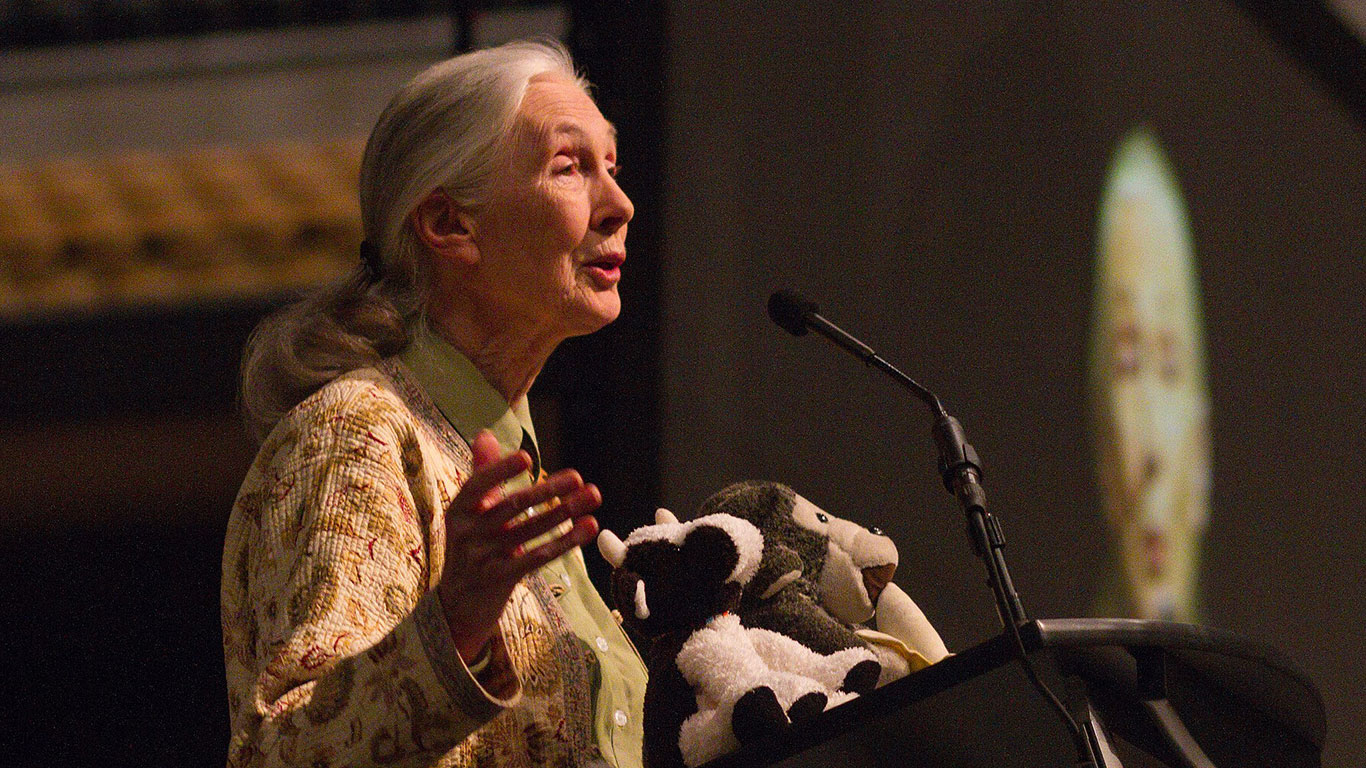 jane goodall