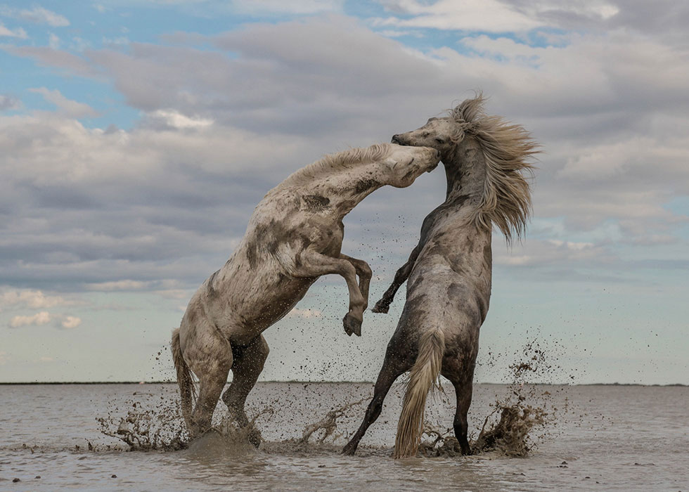 TNC-2018-photo-contest-winner