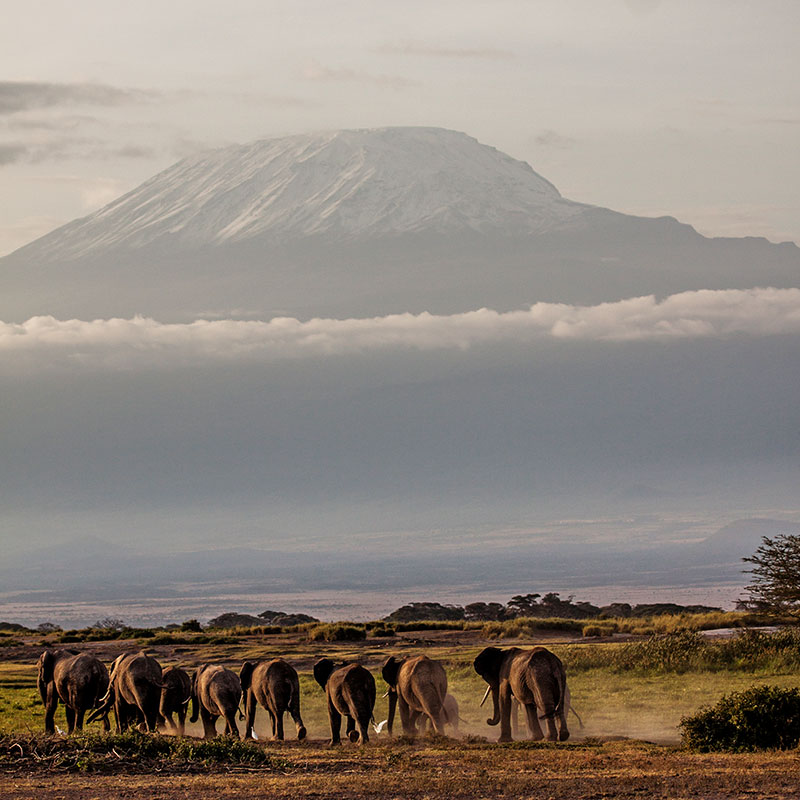 randilen waterhole views