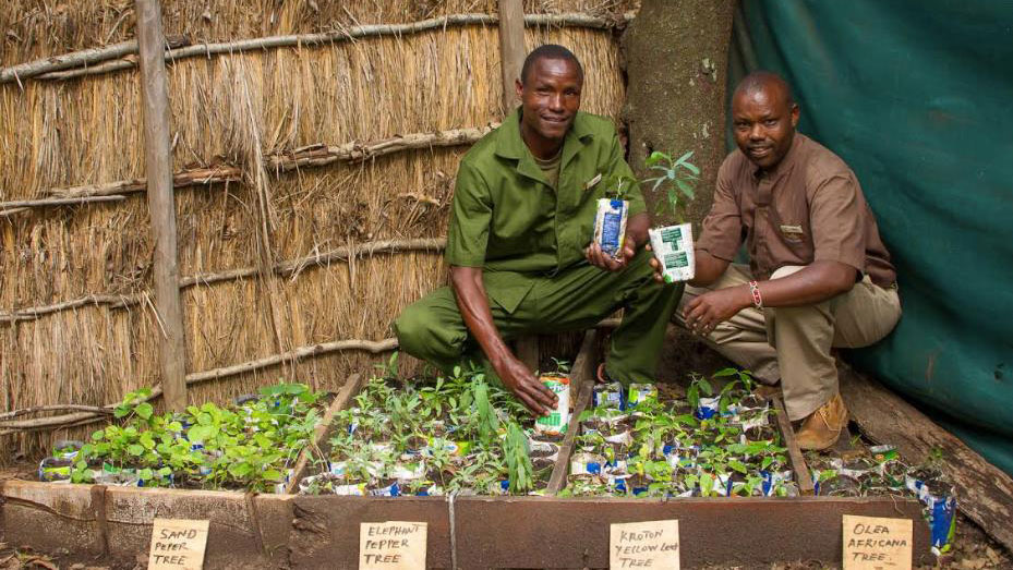 world forest day