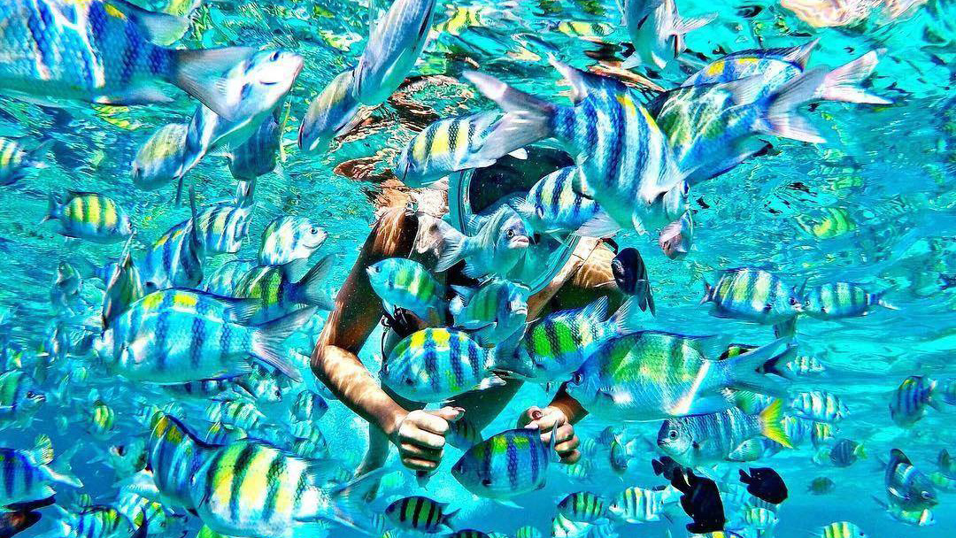 Discovery-Loyalty-winners-photo